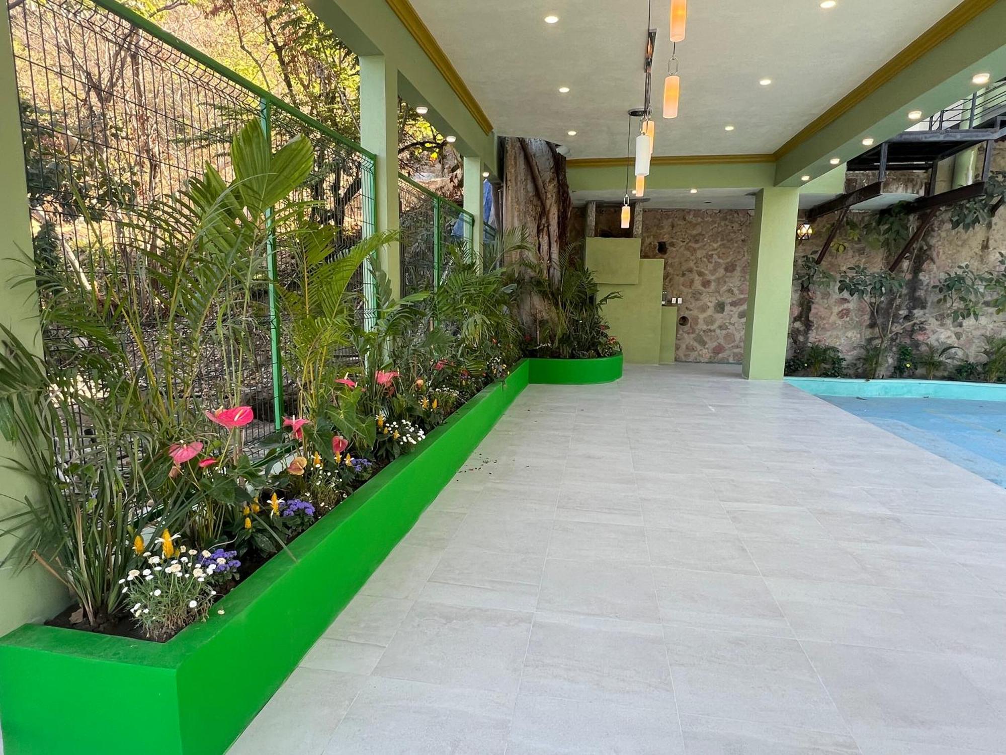 South Shore Villa Armonia Luxury Boutique Πουέρτο Βαγιάρτα Εξωτερικό φωτογραφία